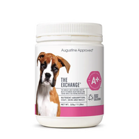 Augustine Approved The Exchange (Canine) 320G 