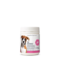 Augustine Approved The Exchange (Canine) 80G 