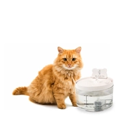 All Fur You Auto Sensor Water Fountain Usb 