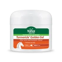 Equitec Turmericle Golden Balm 100Ml 