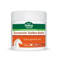 Equitec Turmericle Golden Balm 200Ml 