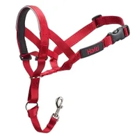 Halti Headcollar Red Size 2  