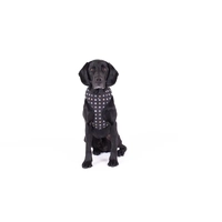 Mog & Bone Neoprene Harness Black Metallic Cross Sml 