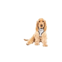 Mog & Bone Neoprene Harness Grey Chk Med 
