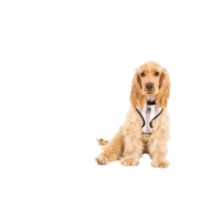 Mog & Bone Neoprene Harness Latte Hamp Stp Xl 