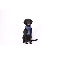 Mog & Bone Neoprene Harness Navy Chk Xl 