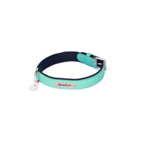 Zippy Paws Leather Dog Collar with Rose Gold Buckle - Teal - Large 