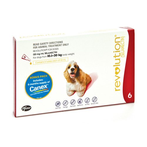 Revolution Flea Control for Dogs 10.1-20kg Bonus All Wormer 6Pack
