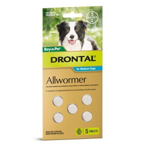 Drontal All-Wormer for Medium Dogs to 10kg - 5 Tablets