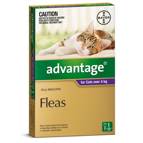 Advantage Spot-On Flea Control Treatment for Cats over 4kg - Single Dose