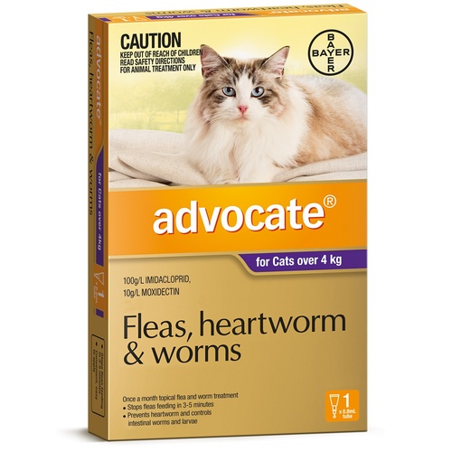 Advocate Flea & Wormer Spot on for Cats over 4kg - Single Dose