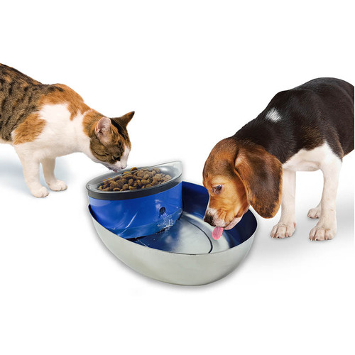 Pioneer Pet Stainless Steel and Plastic Water Food Bowl Drinking Fountain