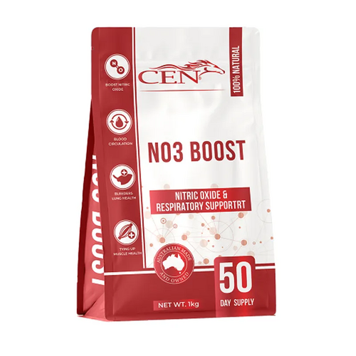 Cen No3 Boost 1Kg  