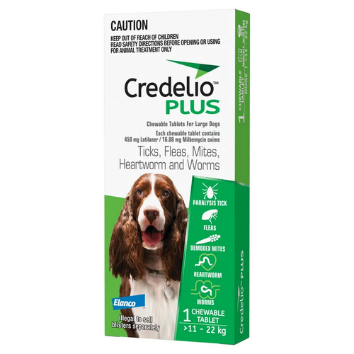 Credelio Plus Dog Large 11-22Kg (Green) 1 Pack 