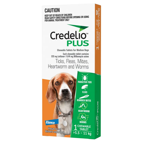 Credelio Plus Dog Medium 5.5-11Kg (Orange) 1 Pack 