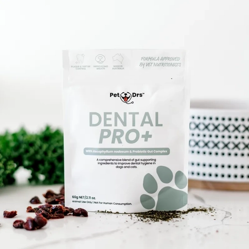 Nourish Pet Co Dental Pro+ 60G  