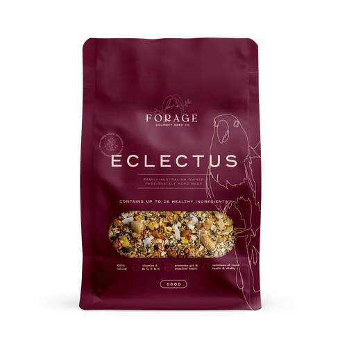 Forage Gourmet Eclectus 500G  