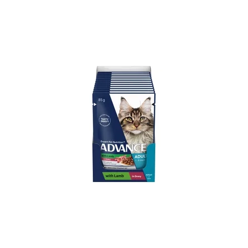 Advance Adult Wet Cat Lamb In Gravy 85G 12Pk (Om12) 