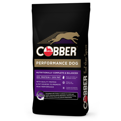 Cobber Performance Dog 20Kg (36) 