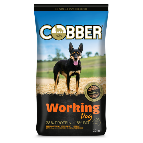 Cobber Workdog 20Kg (36)  
