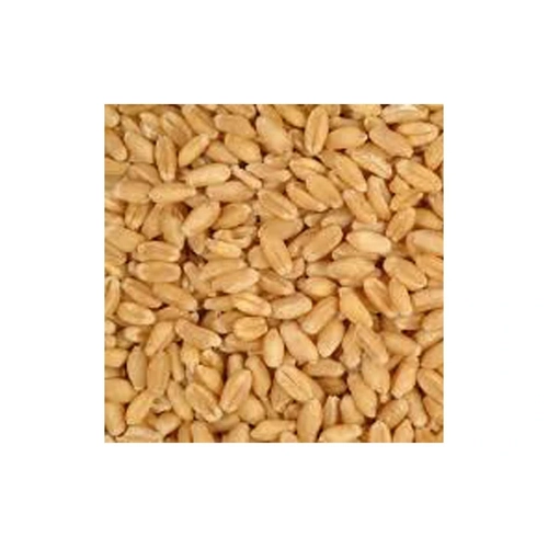 Country Heritage Organic Whole Wheat 20Kg (40) *Spec Ord* 