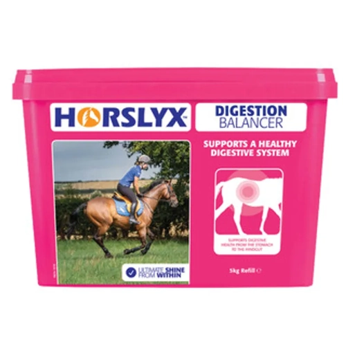 Horslyx Digestion Vit & Mineral Lick 5Kg