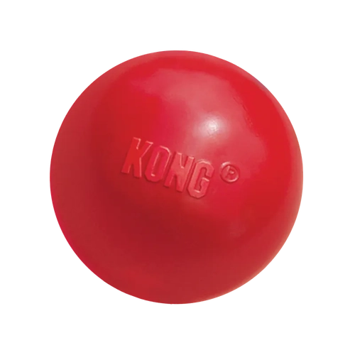 Kong Ball With Hole Lg  