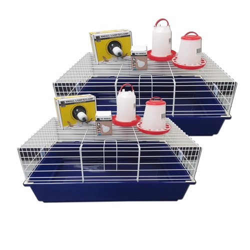 Ipetz Chicken Starter Kits 2Pack  