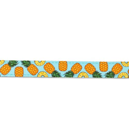 Max & Molly Smart ID Cat Collar - Sweet Pineapple