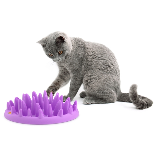 Northmate Catch Interactive Slow Food Cat Bowl