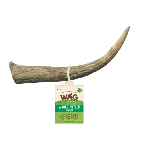 Wag Antler Whole Medium  