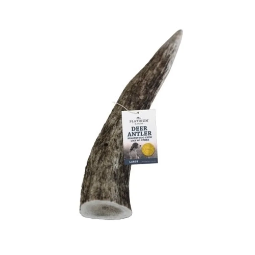 Platinum Ranch Large Deer Antler Single 