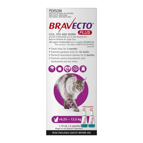 Bravecto Plus Cat Lrg 6.25Kg - 12.5Kg Purple (2Pk) 