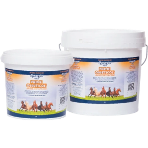 Dynavyte Equine Prime 2Kg *Spec Ord* 