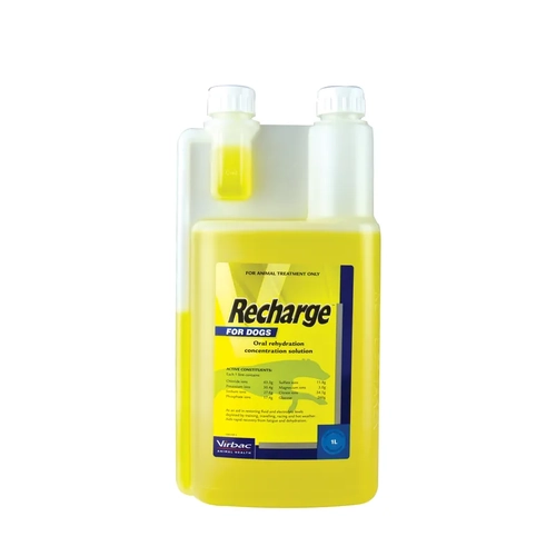 Virbac Recharge For Dogs 1L  
