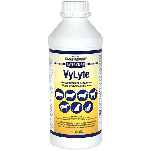 Vetsense Vylyte 1L  