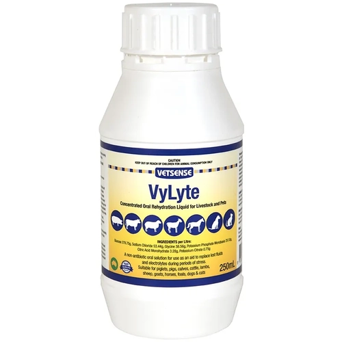 Vetsense Vylyte 250Ml  