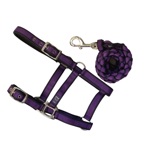 Anipal Autumn Lilac Comfort Halter & Lead Set Cob 