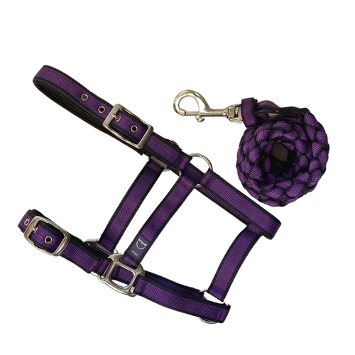 Anipal Autumn Lilac Comfort Halter & Lead Set Xfull 