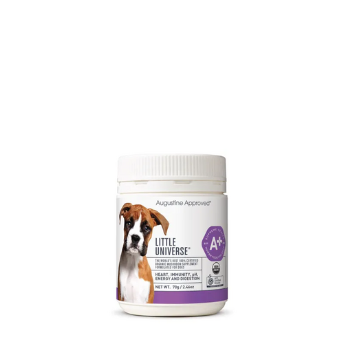 Augustine Approved Little Universe (Canine) 70G 