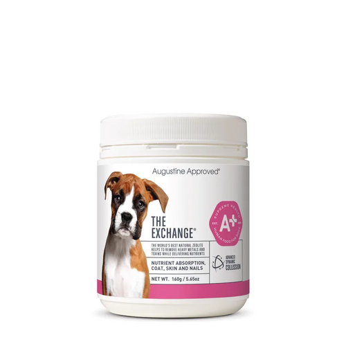 Augustine Approved The Exchange (Canine) 160G 