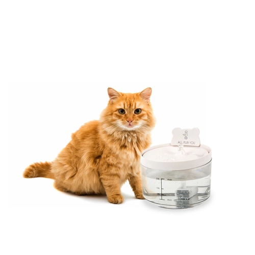 All Fur You Auto Sensor Water Fountain Usb 