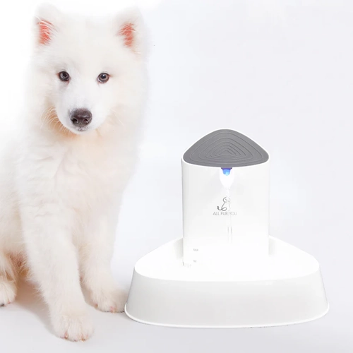 All Fur You Seashell Water Fountain 