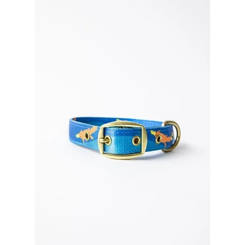 Anipal Piper The Platypus Dog Collar Medium 