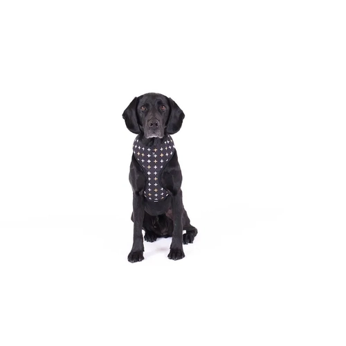 Mog & Bone Neoprene Harness Black Metallic Cross Xl 