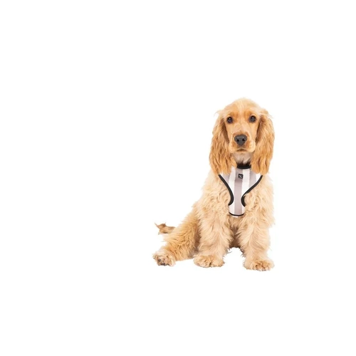 Mog & Bone Neoprene Harness Latte Hamp Stp Med 