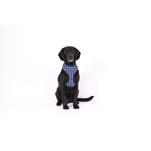 Mog & Bone Neoprene Harness Navy Chk Med 