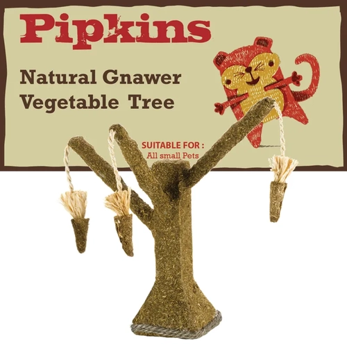 Pipkins Alfalfa Edible Carrot Tree 
