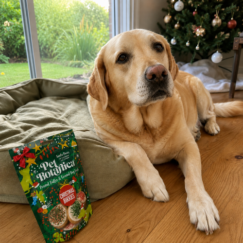 Pet Botanica Christmas Bikkies For Dogs 150G