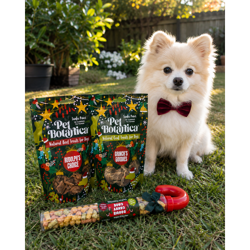Pet Botanica Christmas Candy Cane Festive Crunchies 35G